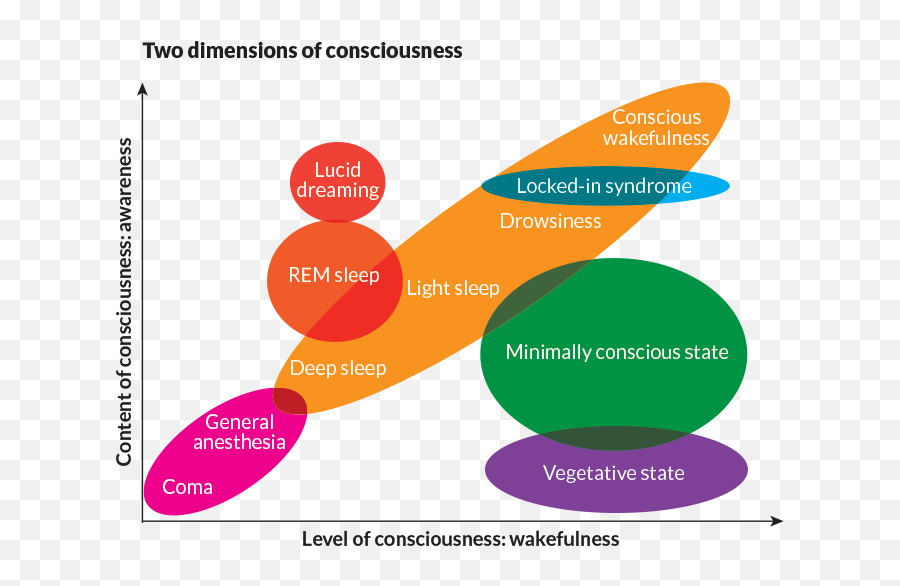 Brain Activity In Unconscious Patients Offers New Views Of - Dot Emoji,Big Bang Theory Emotion Detector