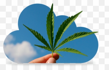 Uncategorized Archivos - Alas Cbd Shop Emoji,Nube Emoji