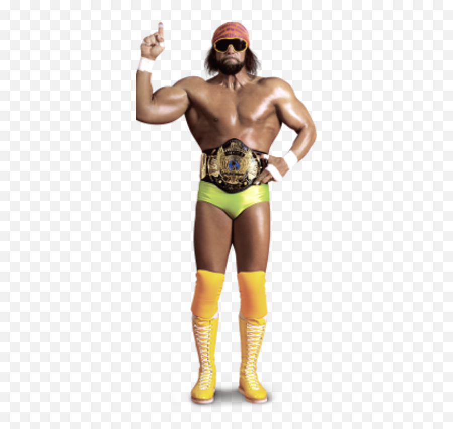 Randy Savage Pro Wrestling Fandom Emoji,Garyyoung Emotions Cd