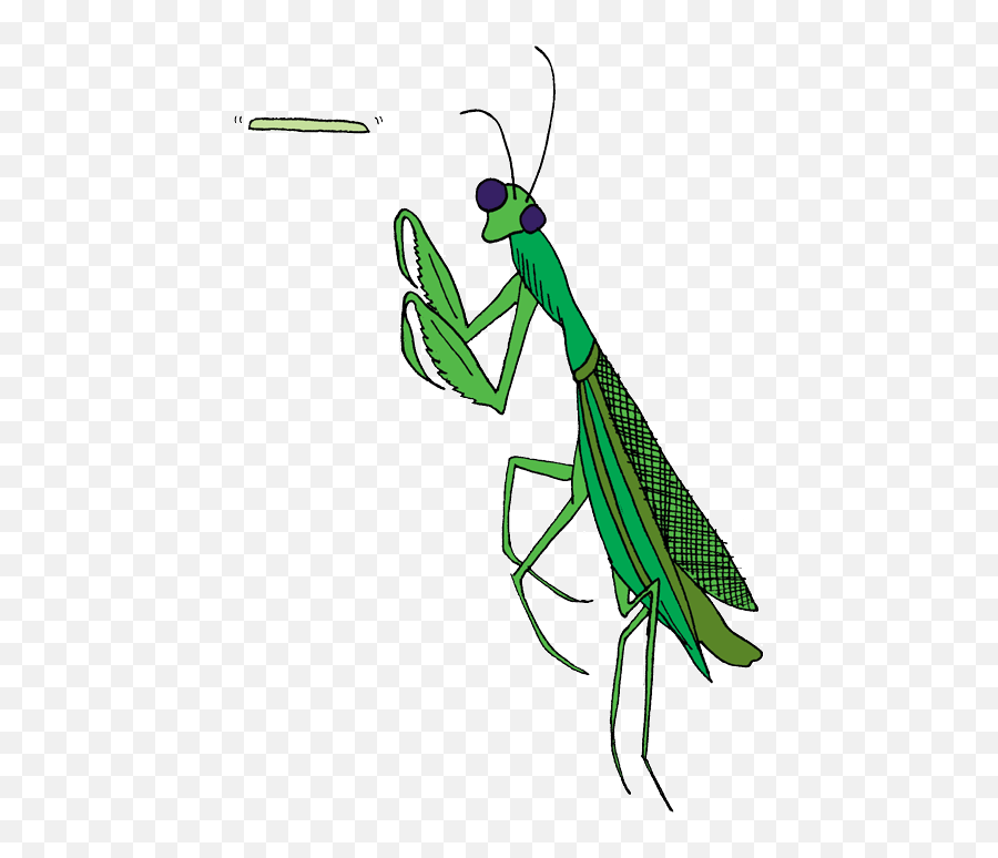 Transparent Praying Mantis Clip Art - Praying Mantis Clipart Emoji,Mantis Emoji