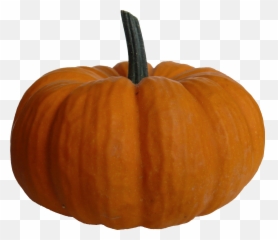 Free Smiley Emoji Transparent Background Download Free Clip - Pumpkin Transparent Png,Broccoli Emoji Iphone