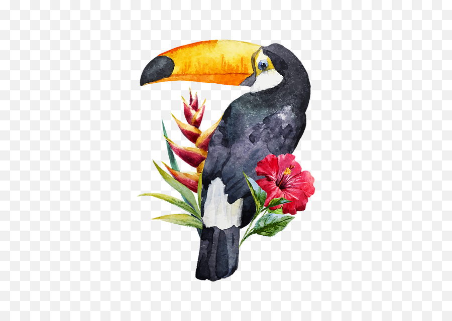 Amy Lim - Healeranimal Communicatorreader Tucan Acuarela Emoji,Giving Human Emotions To Animals