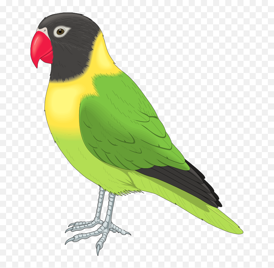 Clipart Parrot - Bird Clip Art Emoji,Parrot Emojis