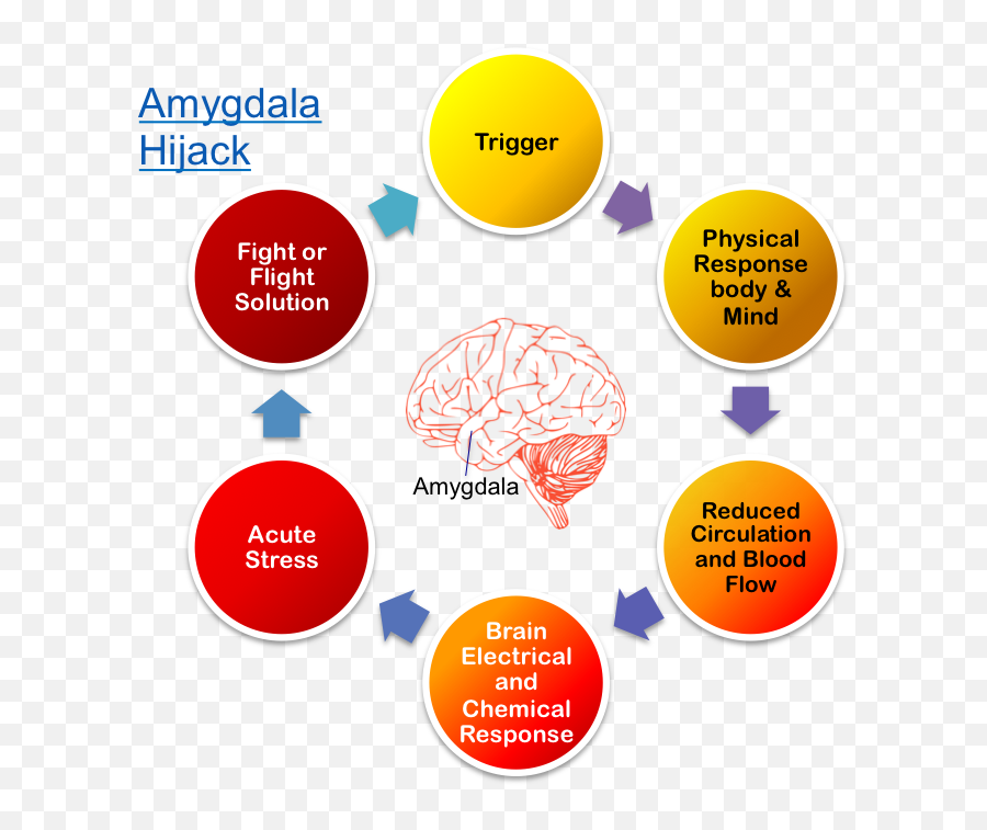 If You Hate - 6 Steps To Behavior Based Safety Process Emoji,Amygdala Emotions