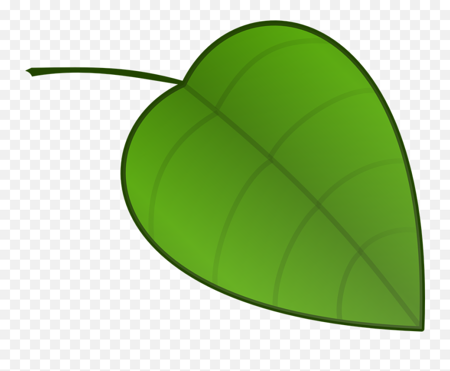 Leaf Small Clipart - Full Size Clipart 1210016 Pinclipart Falling Green Leaf Clipart Png Emoji,Maple Leaf Emoji Png