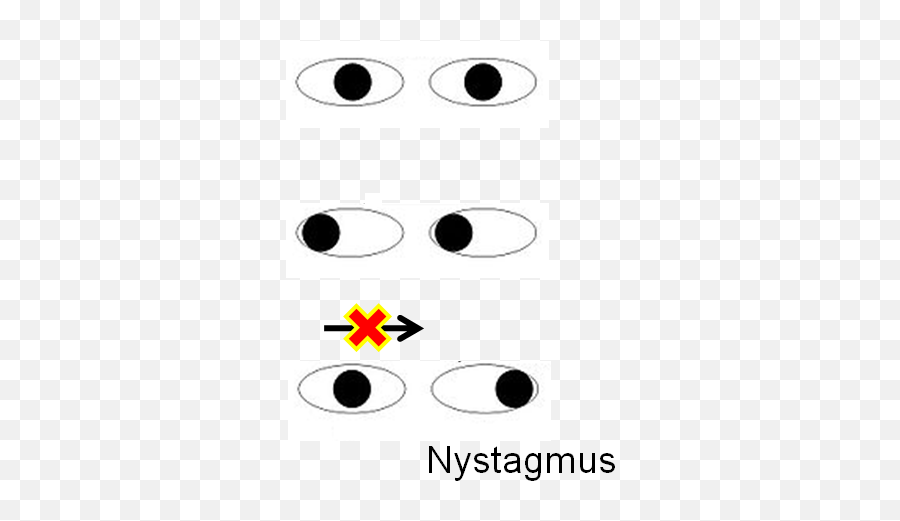 Rest Of Neuro Flashcards Cheggcom - Dot Emoji,How To Emoticon Doe Eyes