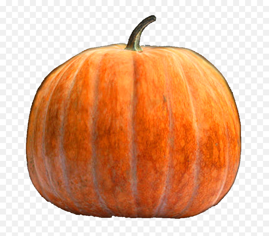 Online Pumpkin Carving - German Plate Emoji,Emoji Pumpkin Carvings