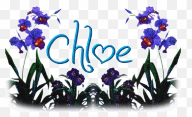Chloe Name Wallpapers - Chloe Background Emoji,Chloe Grace Moretz Kiki Emoticon