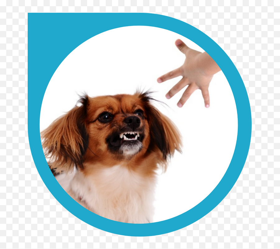 Help My Dog Just Growled At My Kid Emoji,Dog Emoji