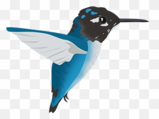 Free Hummingbird Bird Illustrations - Bee Hummingbird Emoji,Sunset And Bird Emoji