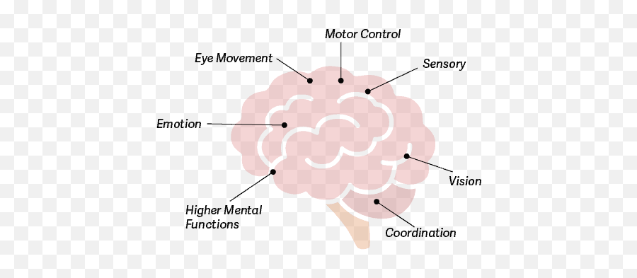 Kids Health Articles The Head To Toe Guide For Kids Health - Dot Emoji,Emotions Stored In Muscles