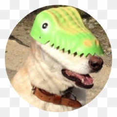 Emoji - Dog Clothes,Tongue Dragging Emoji Picture