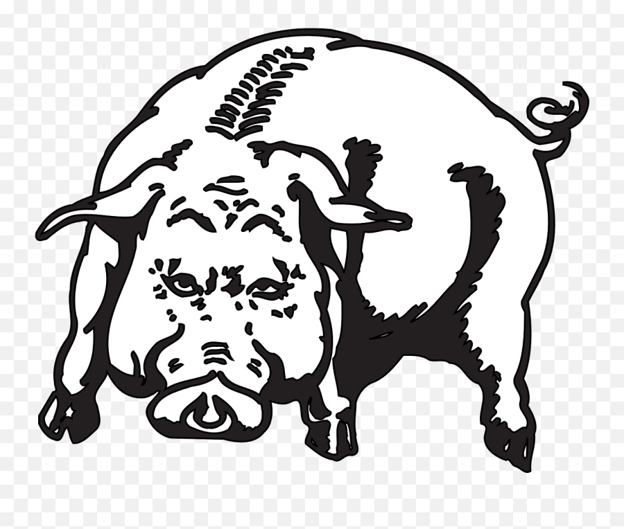 Angry Pig Animal Hog Piggy Png Picpng - Angry Pig Drawing Emoji,Piggy Emoticons