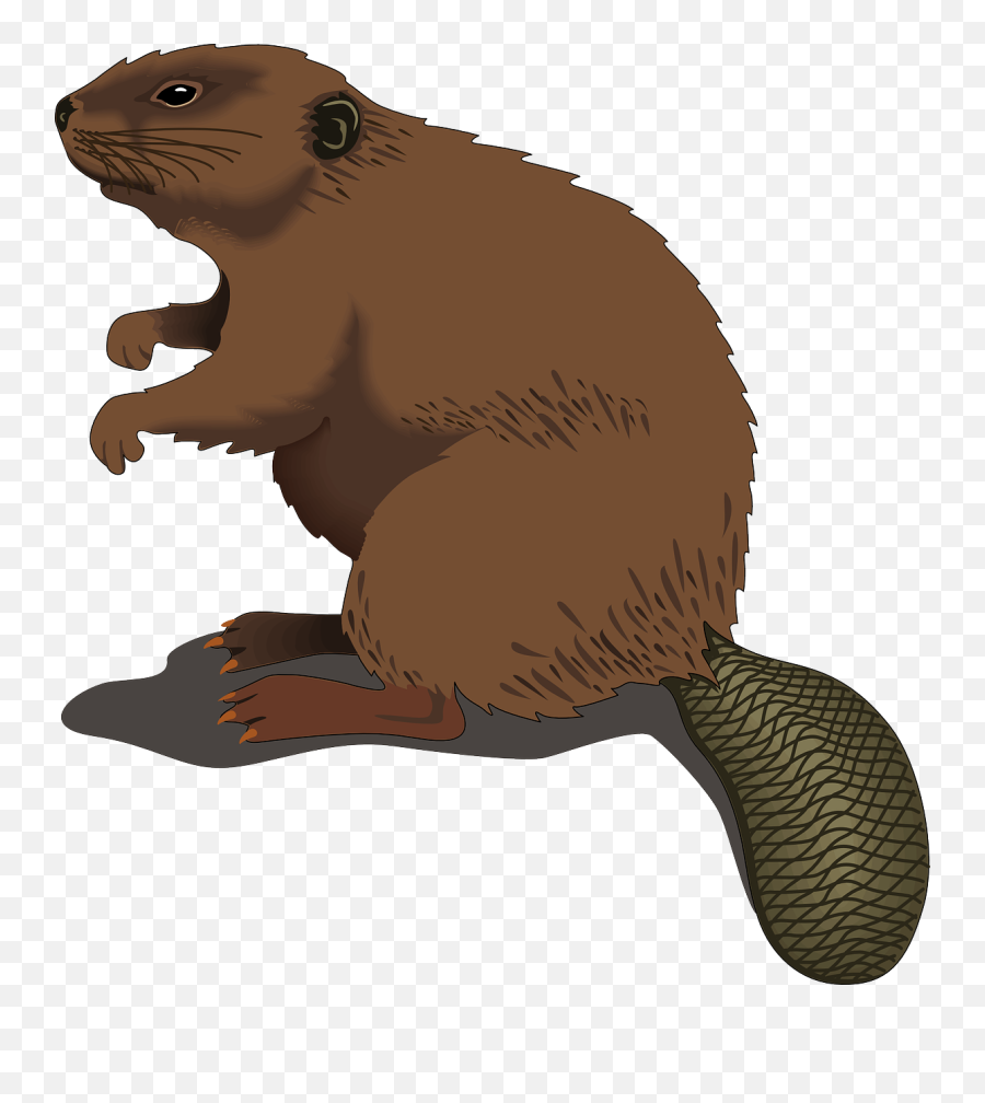 Groundhog Mole - Beaver Clipart Emoji,Woodchuck Emoji