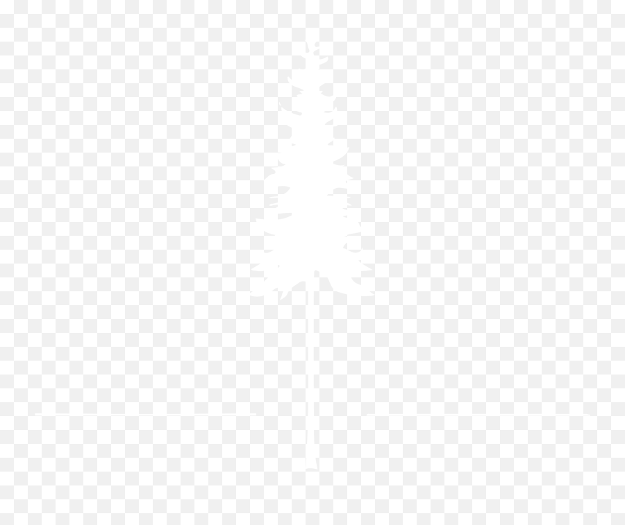 Treebottle Customized Small Text - International Day Logo Png White Emoji,Emojis Pants For Sale