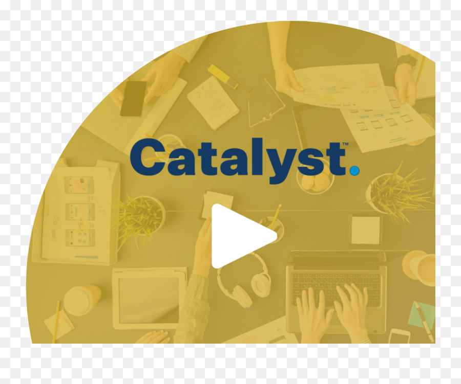 Catalyst - Solving The People Problem Language Emoji,Emotions Of The Discstyles