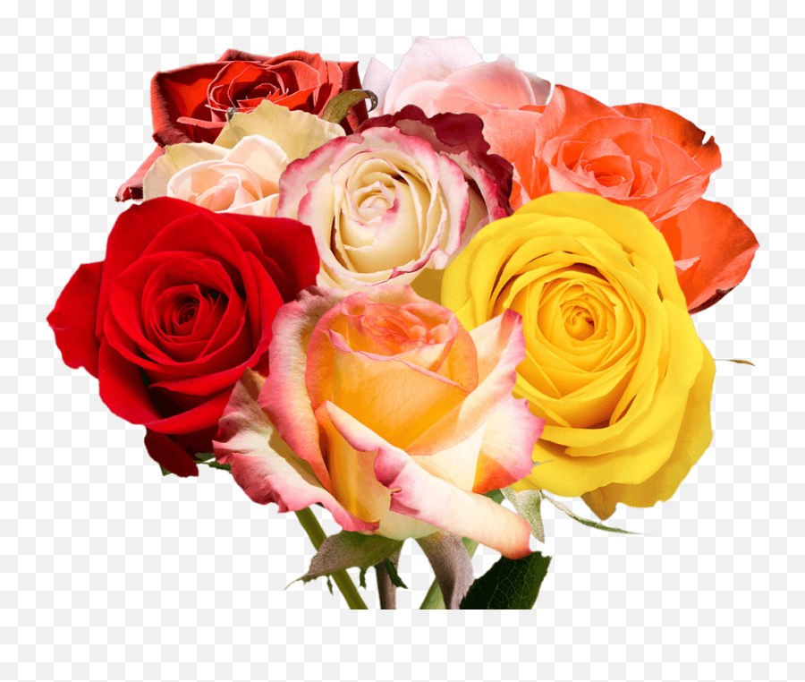 Best Flowers To Give A Taurus - Floral Emoji,What Is The Emotion For Yellow Roses