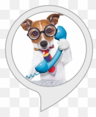 Alexa Skills - Dog Salesman Emoji,Emoji Movie Talking Dogs