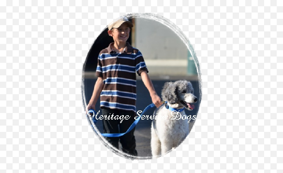 Heritage Service Dogs - Water Dog Emoji,An Introduction To Dog Intelligence And Emotion