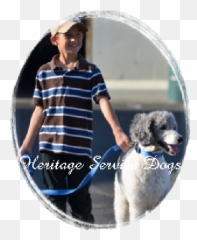 Heritage Service Dogs - Water Dog Emoji,An Introduction To Dog Intelligence And Emotion