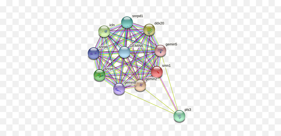 Smn1 Protein Danio Rerio - String Interaction Network Emoji,Secrete Emojis Msp