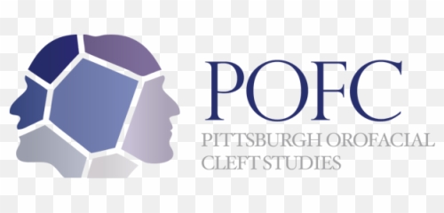 Pittsburgh Orofacial Cleft Studies School Of Dental Medicine Emoji,Emotion On Huams Faces