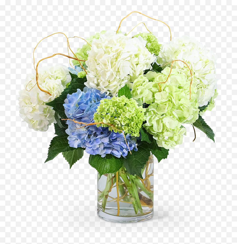 Hello Hydrangea Alpharetta Florist - Flower Delivery In Emoji,Subsittions For Said Organized In Emotions