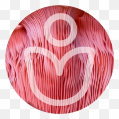 About - Heal Your Nervous System Emoji,Emotional Reactivity Vs Emotion Regulation