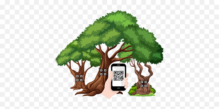 Sustainable Memory In Olive Trees U2013 Memorybank Emoji,Roots Emoji