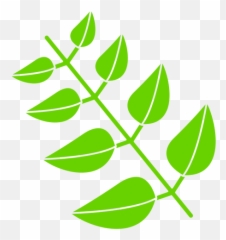 Leaf Png U0026 Svg Transparent Background To Download Emoji,Shamrock Emoji Png