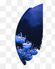 Best 28 Immense And Weird Images Hd Free Download Emoji,Aesthetic Moon Emoji