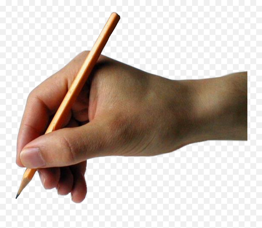 Pencilsketch Hand Drawing Pencil Sticker By Meganut - Hand Holding Pencil Png Emoji,Pencil Emoji