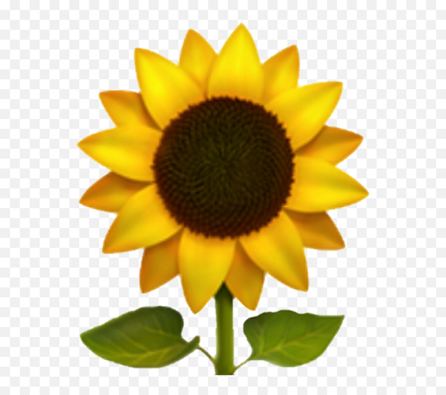 Emoji Girasol Sticker - Iphone Sunflower Emoji Transparent,Emoji Bg