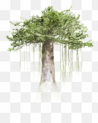 Tree Official - Tree Vr Emoji,Human Emotion Tree Art Design Art