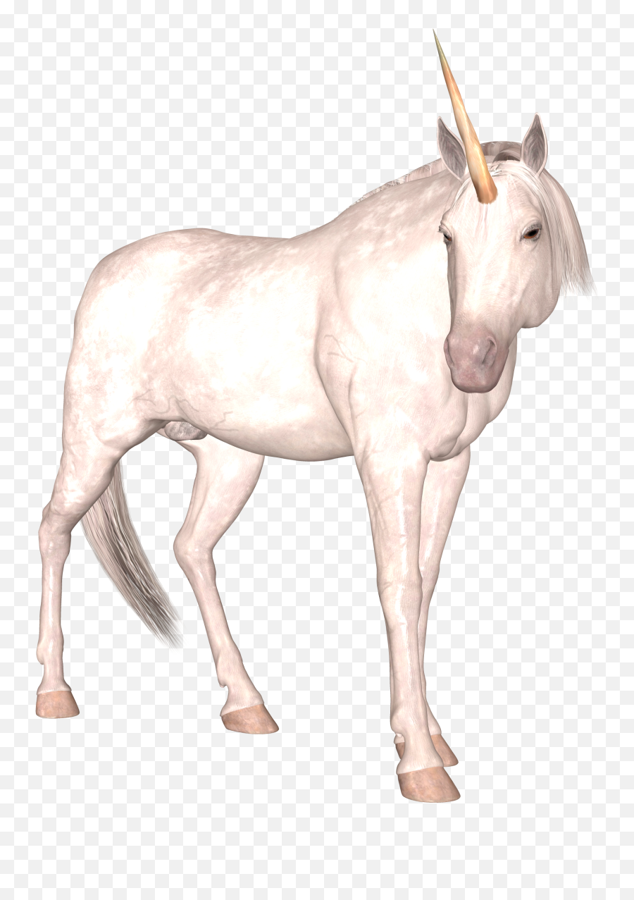 Unicorn Png Image - Portable Network Graphics Emoji,Emojis Unicornio