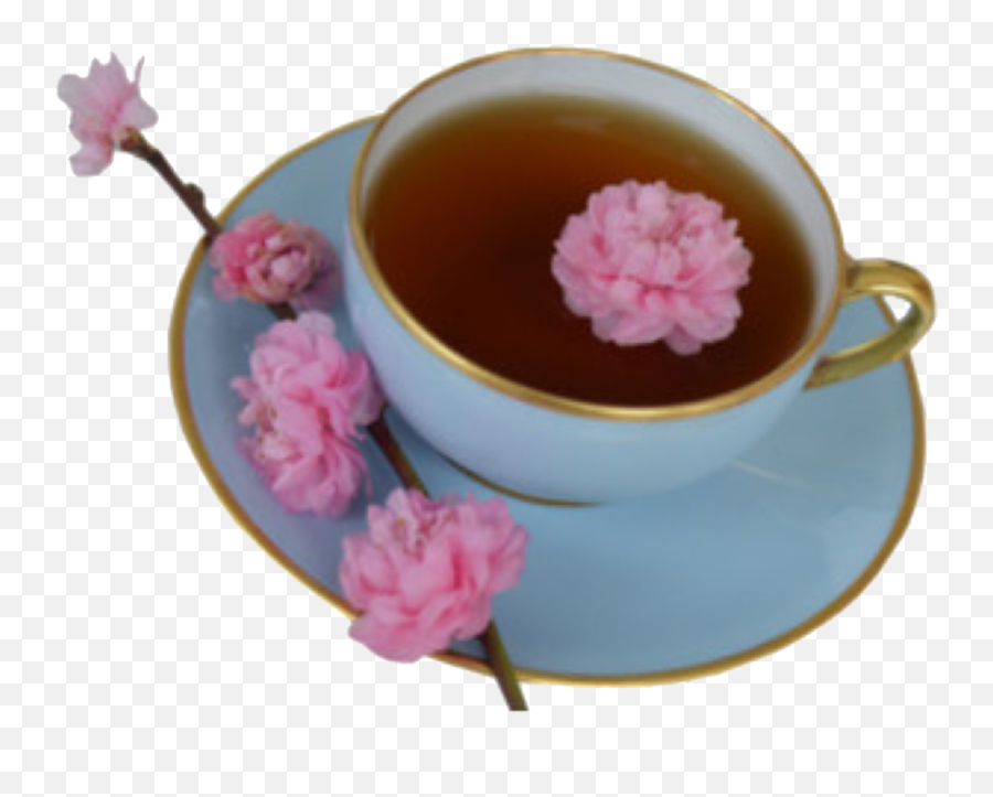 Tea Cup Drink Pink Sticker By U2022real Hot Boy Shitu2022 - Aesthetic Teacup Png Emoji,Cup Of Tea Emoji
