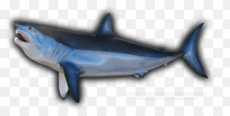 133 Emoji,Arowana Fish Emotion