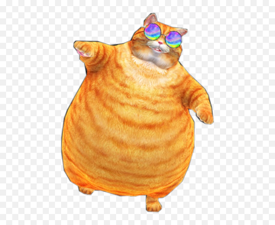 Popular And Trending - Transparent Fat Cat Cartoon Emoji,Fat Cat Emoji