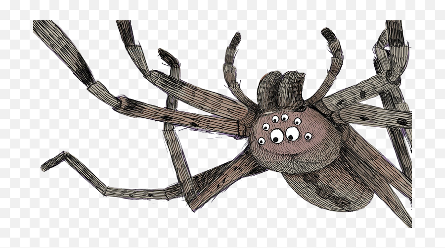 Poetry For Children 2020 - Barn Spider Emoji,Emotion Poems For Children