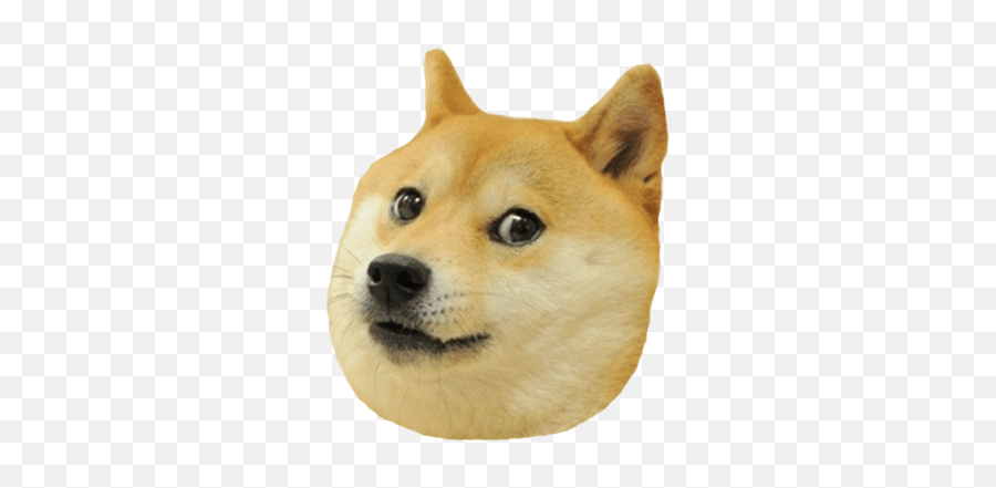 Doge Bread Transparent Png - Stickpng Transparent Doge Png Emoji,Bread Loaf Emoji