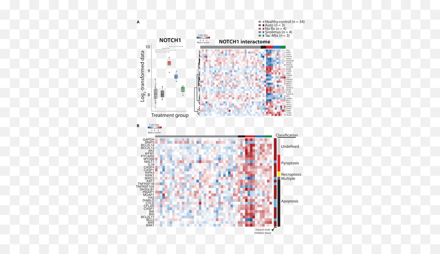 Transcriptome Analysis Of Gvhd Reveals Aurora Kinase A As A - Language Emoji,Emoticon Urlo Di Munch