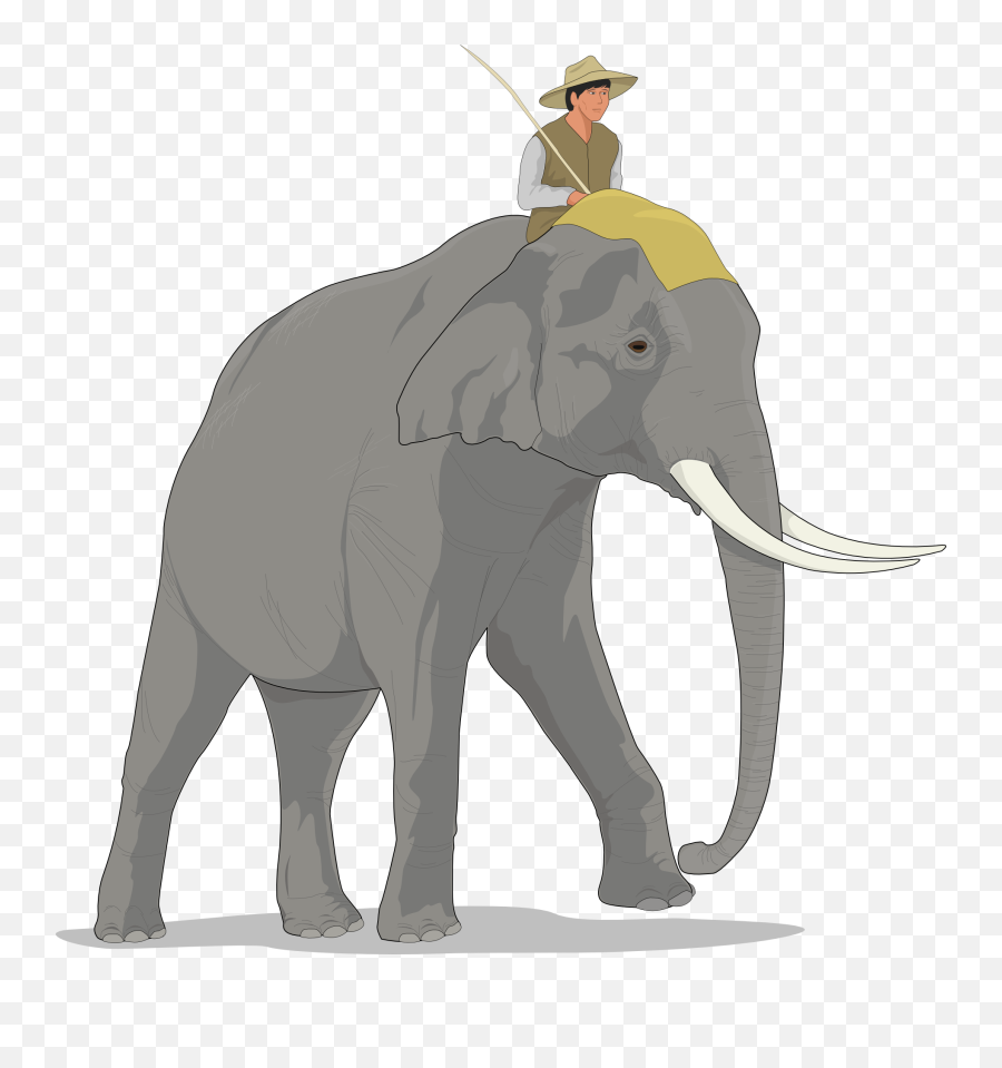 The Righteous Mind - Cartoon Elephant And Rider Emoji,The Elephant Of Emotion