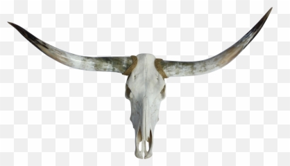 Free Longhorn Head Silhouette Download Free Longhorn Head - Texas Longhorns Skull Png Transparent Emoji,Longhorn Cattle Emoji Sign