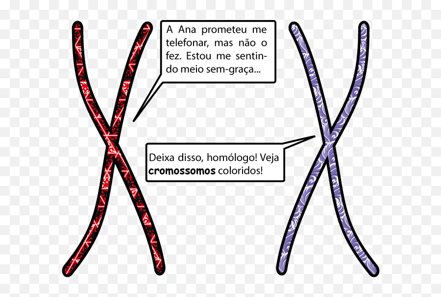 Águas Livres - Cromossomos Homologos E Cromatides Irmãs Emoji,Emoticon Coçar O Saco