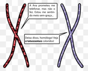 Águas Livres - Cromossomos Homologos E Cromatides Irmãs Emoji,Emoticon Coçar O Saco