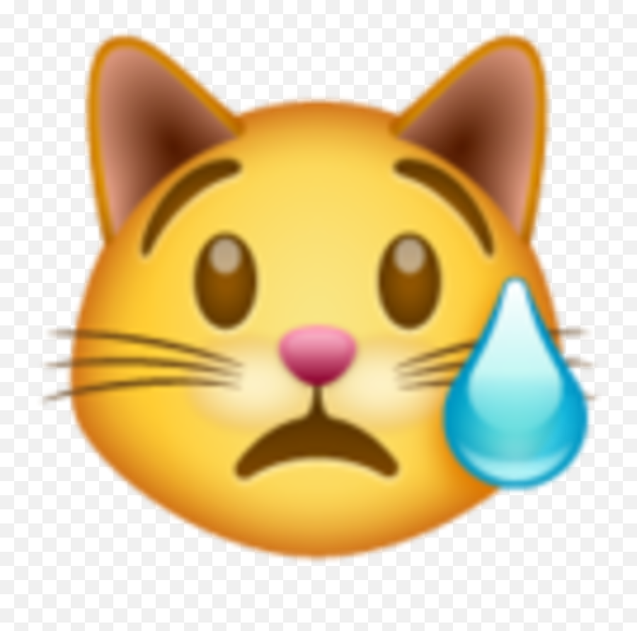 El Significado De Los Emojis De Whatsapp Qué Significa Cada Uno - Crying Cat Emoji Whatsapp,Emoticon Llorando
