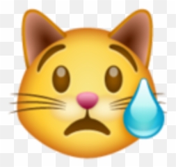 El Significado De Los Emojis De Whatsapp Qué Significa Cada Uno - Crying Cat Emoji Whatsapp,Emoticon Llorando