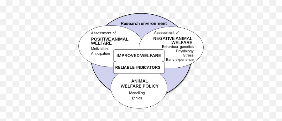 New Centre Of Excellence In Animal Welfare Science Liu News - Language Emoji,Eric Jensen Emotions We Are Born With New Centre Of Excellence In Animal Welfare Science Liu News - Language Emoji,Eric Jensen Emotions We Are Born With