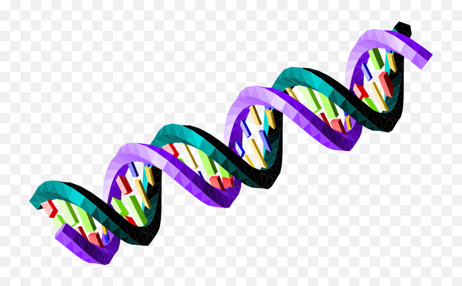 Double - Stranded Dna Sequence Openclipart Emoji,Dna Emoticon