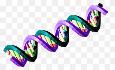 Double - Stranded Dna Sequence Openclipart Emoji,Dna Emoticon